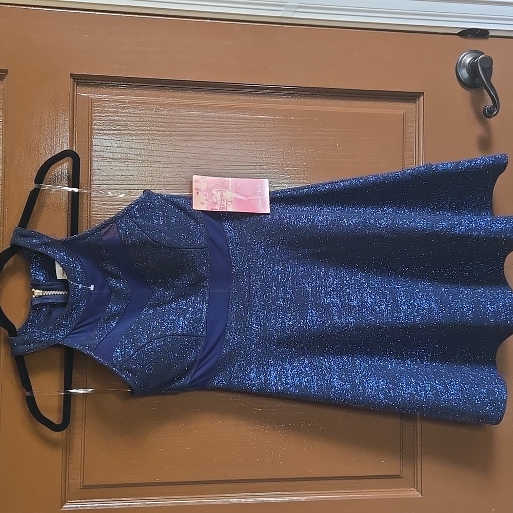 Emerald Sunday-Blue shimmery sleeveless fit n flare dress Sz S NWT